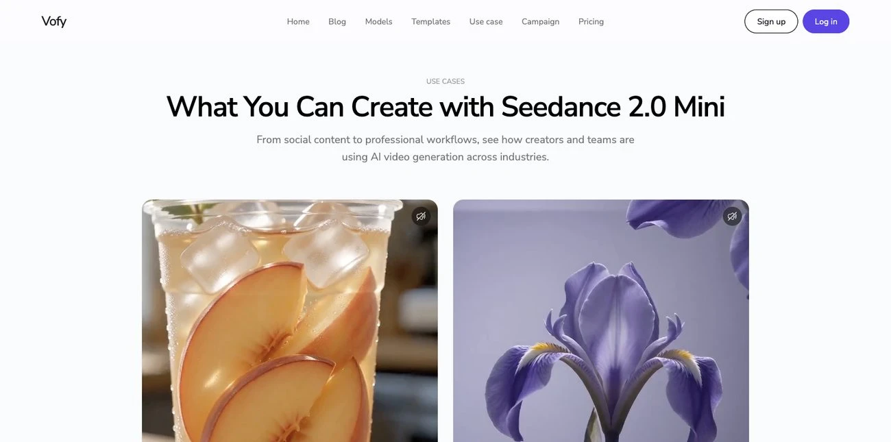 Screenshot of the Seedance 2.0 Mini use cases section on Vofy showing camera-led video examples